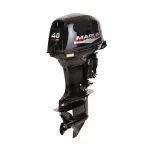 Авангард 4.4 ДС