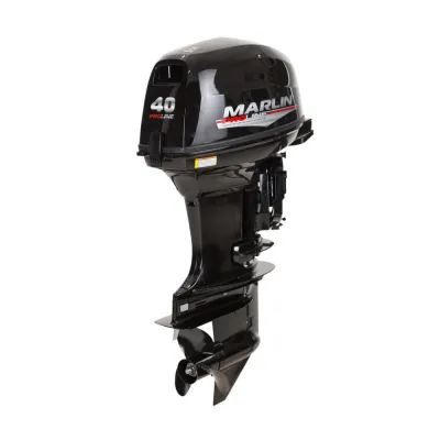 Авангард 4.4 ДС обложка