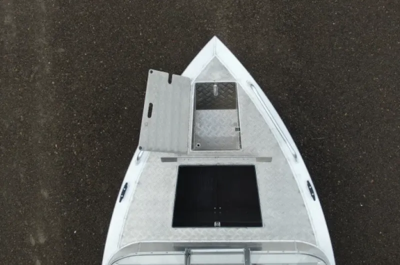 Моторная лодка Wyatboat-460 Pro, фото: 18