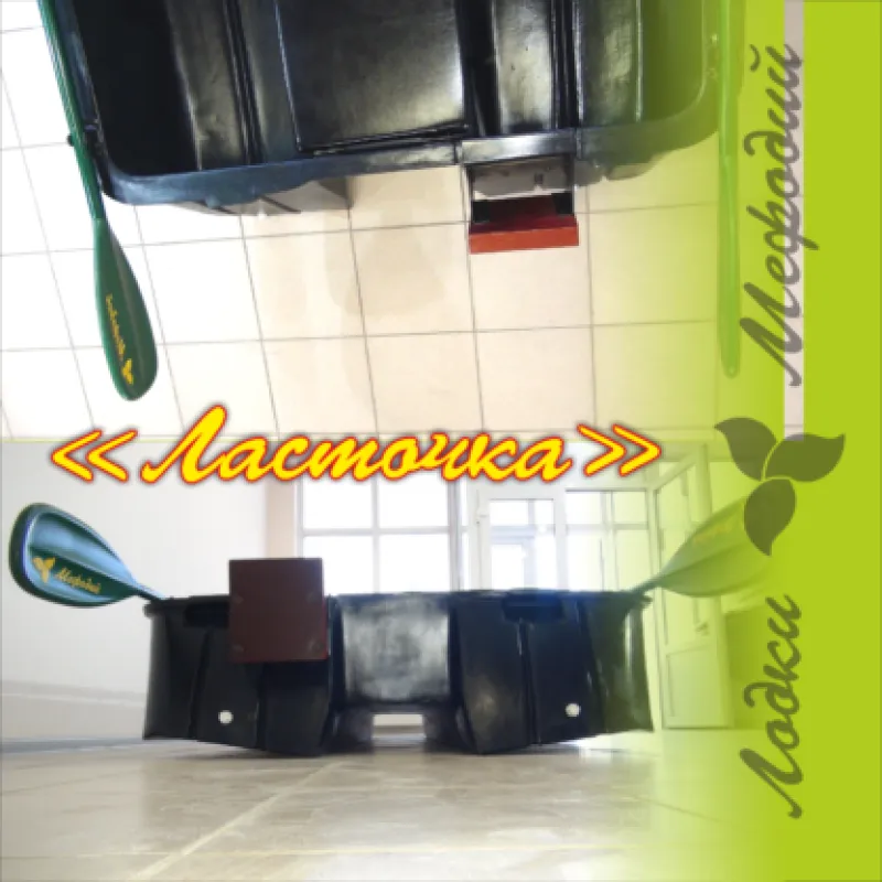 Ласточка, фото: 23